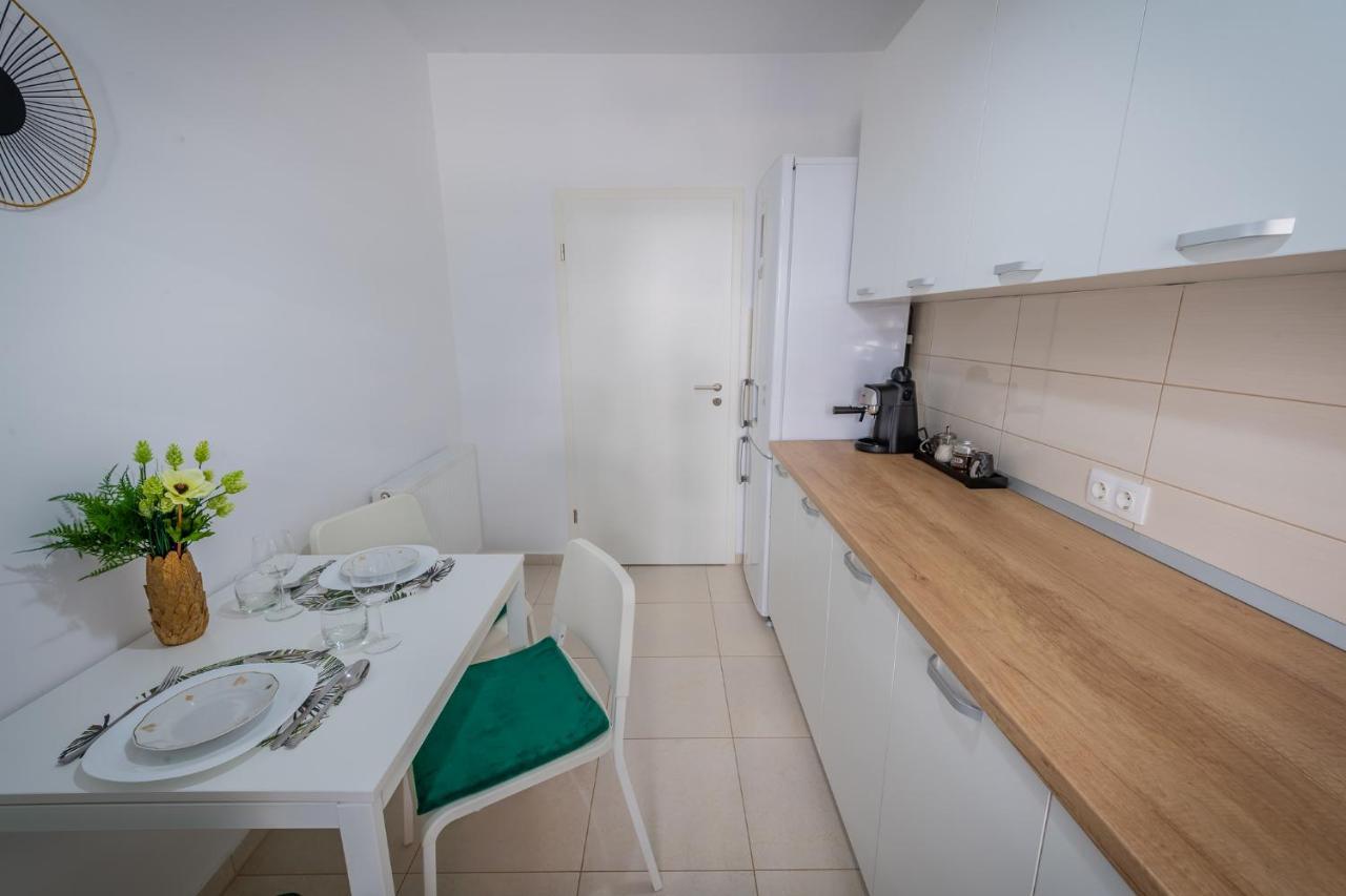 Coresi Vibe Studio Braşov Eksteriør bilde