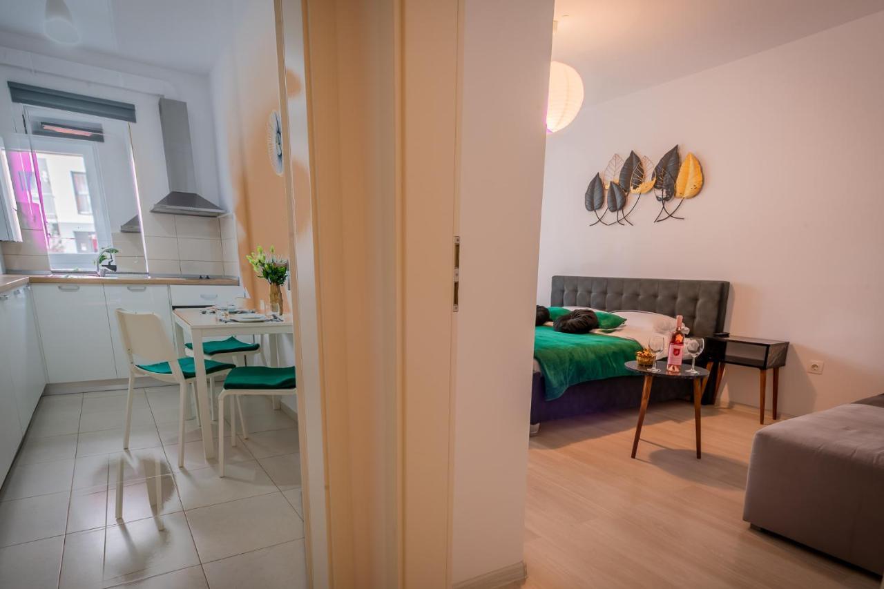 Coresi Vibe Studio Braşov Eksteriør bilde