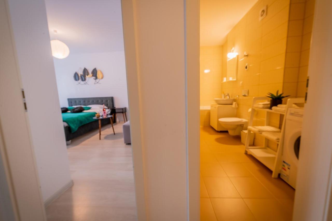 Coresi Vibe Studio Braşov Eksteriør bilde